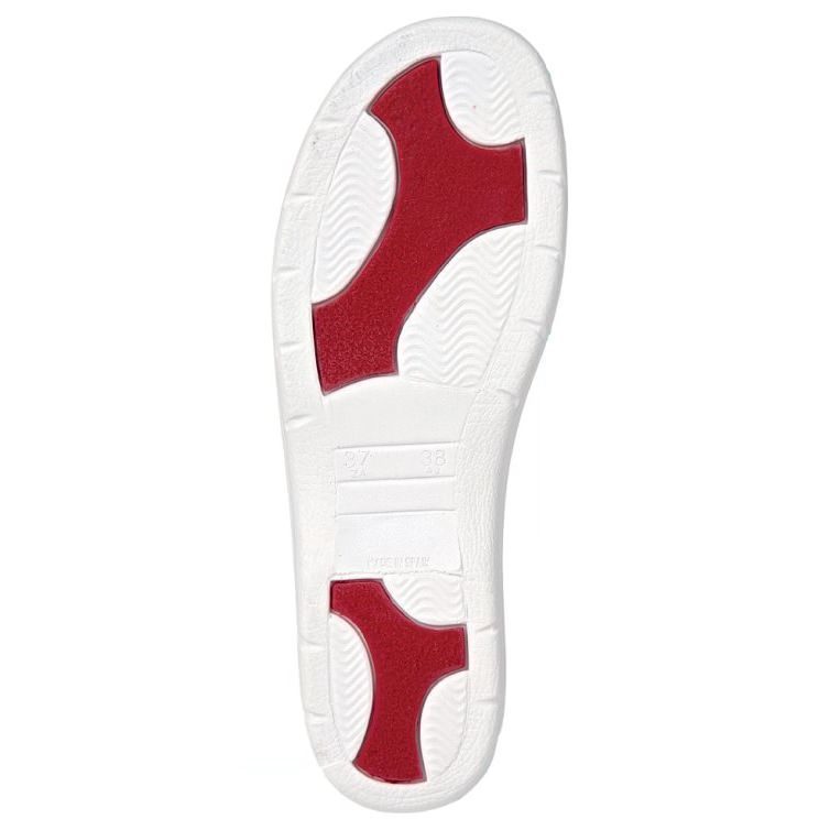 Otra imagen de Zueco Pisa